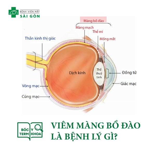 VIÊM MÀNG BỒ ĐÀO LÀ GÌ? CÓ GIỐNG VỚI ĐAU MẮT ĐỎ KHÔNG?